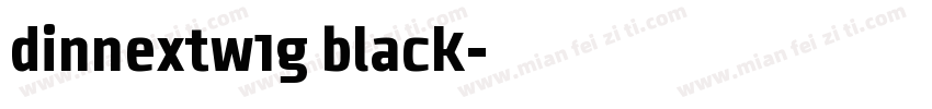 dinnextw1g black字体转换